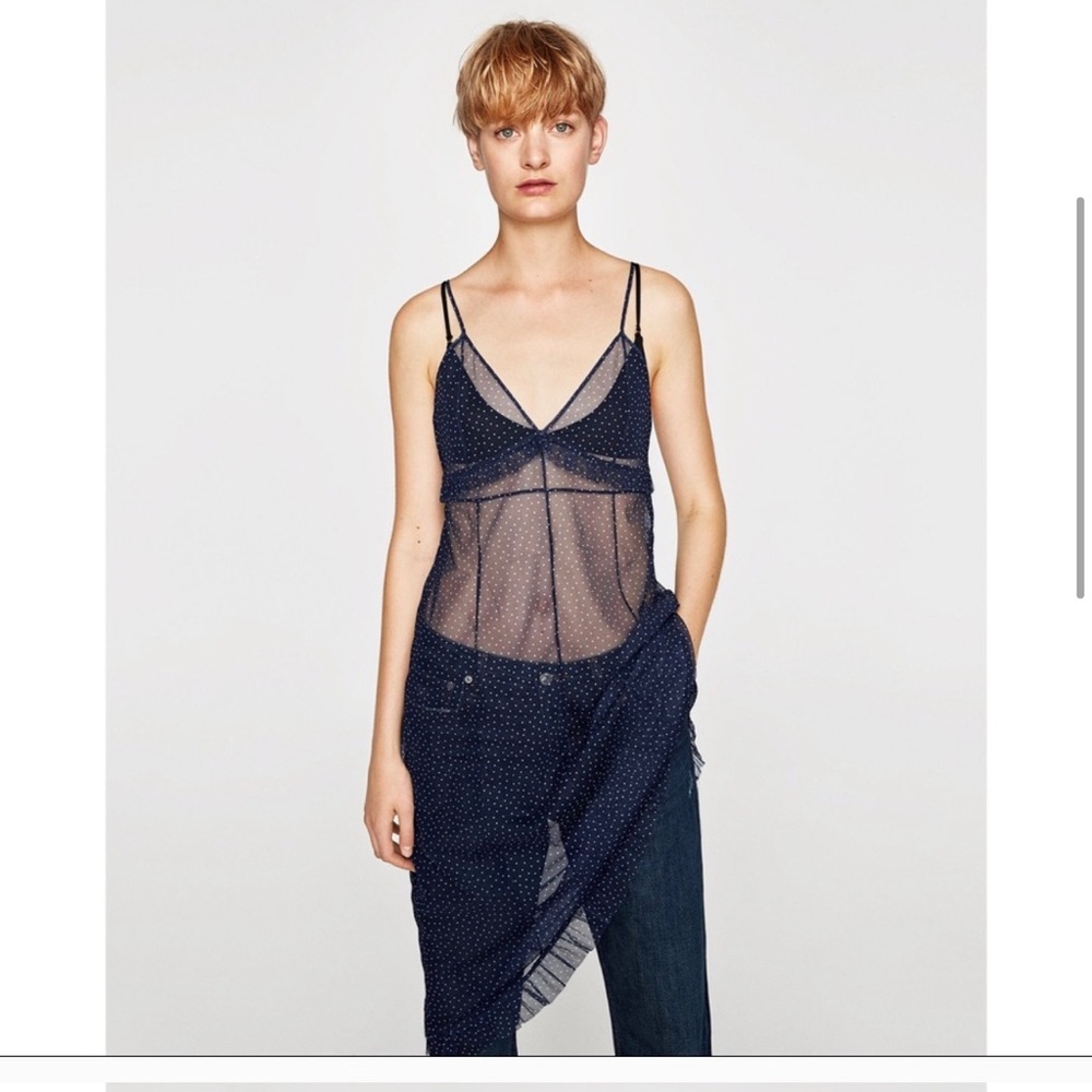 Zara Polka Dot Mesh Dress/Blouse